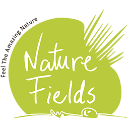 Nature Fields Logo